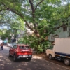 Land for Sale KK Nagar – Approved Plot, ₹8.50 Cr